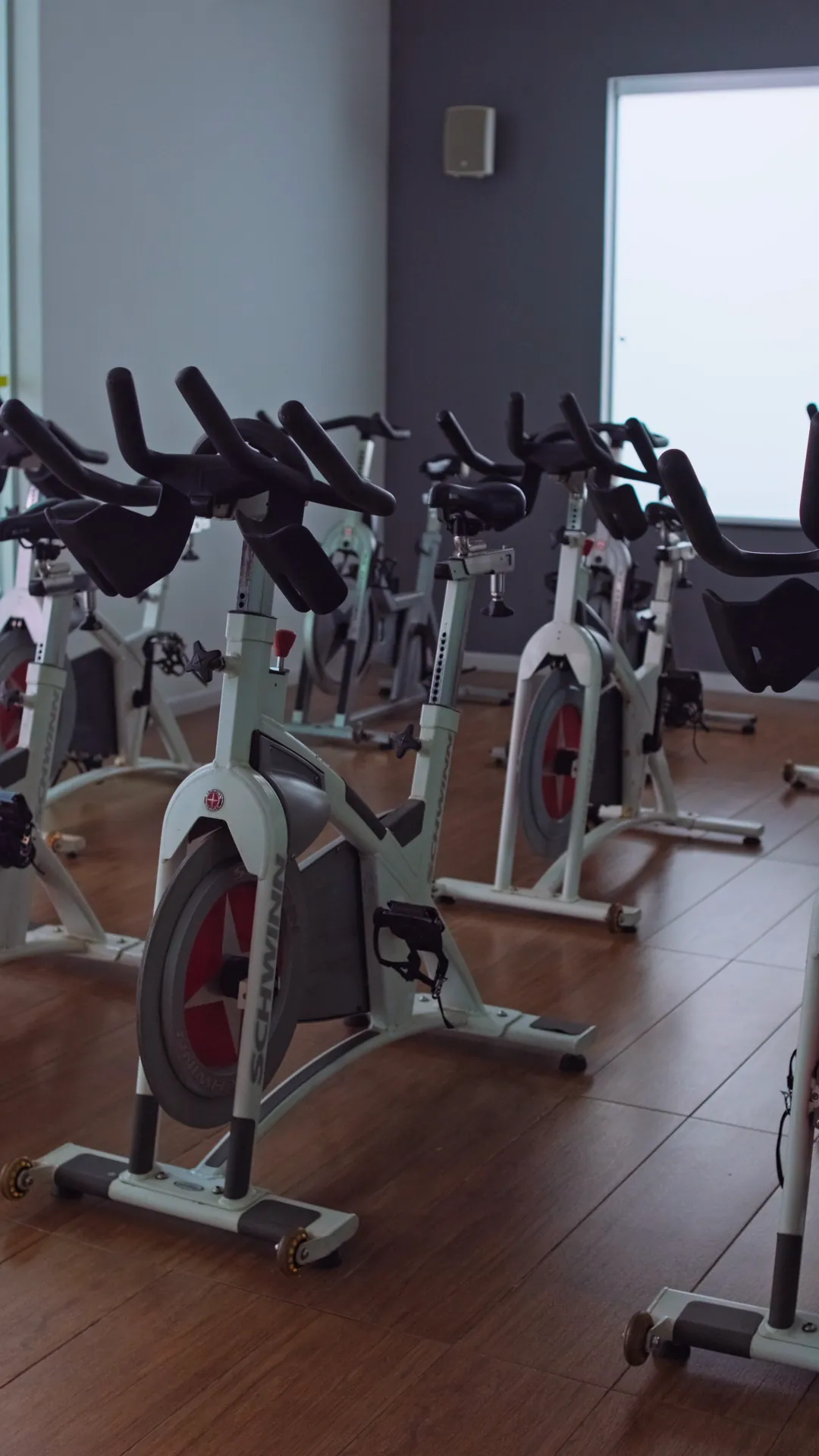 Bike indoor Schwinn